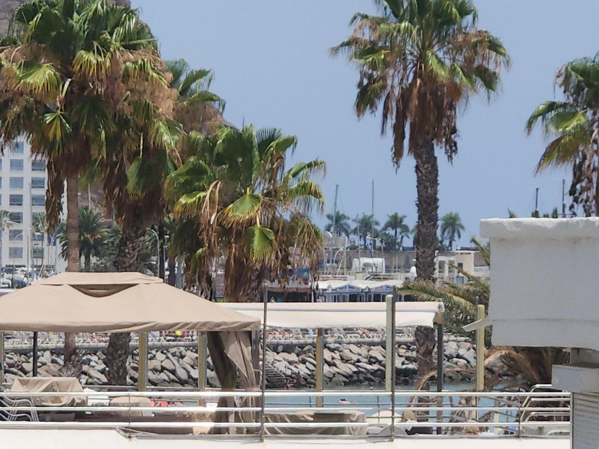Mogán Modern Ground Floor Apartment , A Few Steps From The Beach מראה חיצוני תמונה
